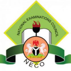 How To Check 2022 NECO Results (internal)