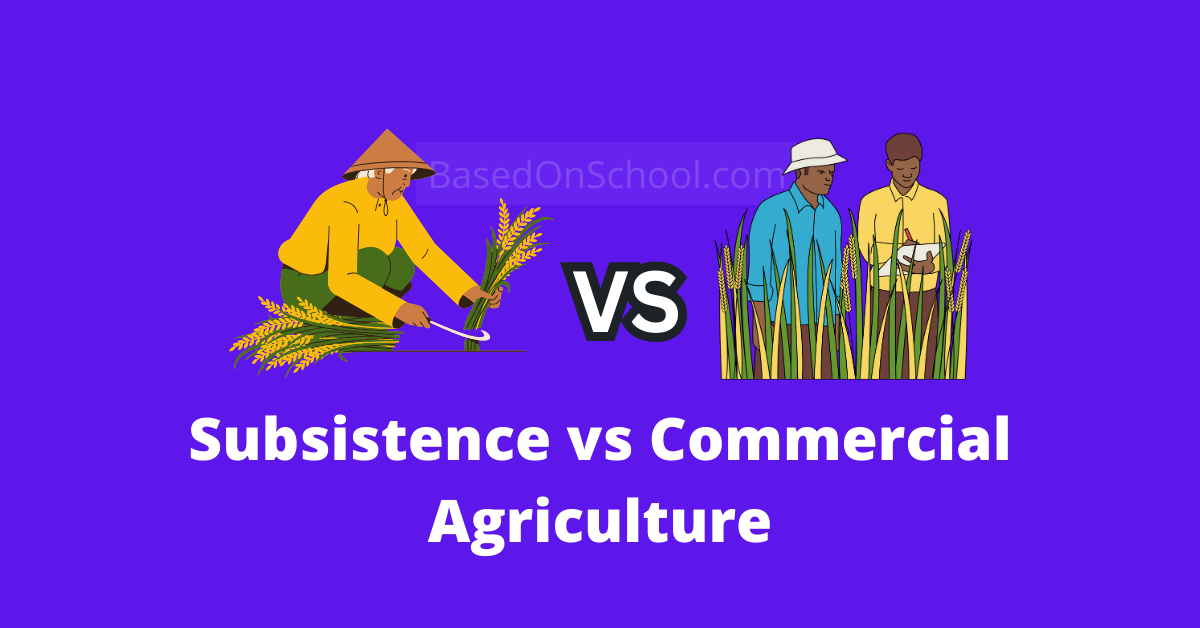 Subsistence vs Commercial Agriculture